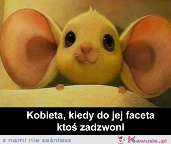 KOBIETY TAKIE SĄ