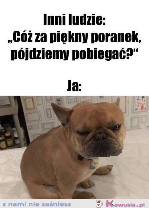 Czy to żart?