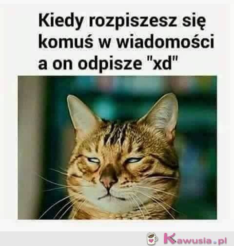 Ale się rozpisał