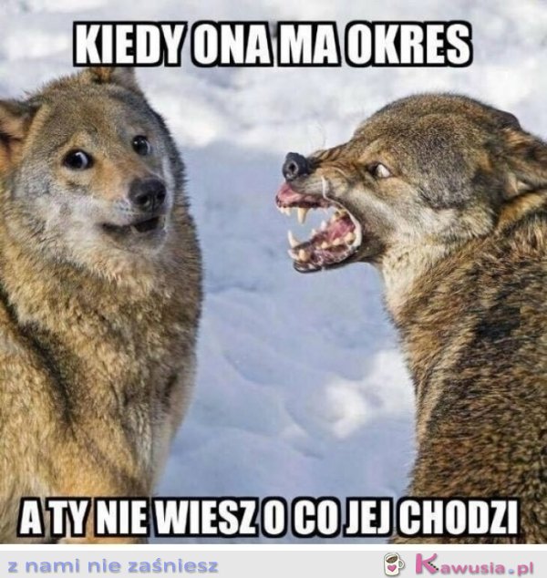 Domyśl się...