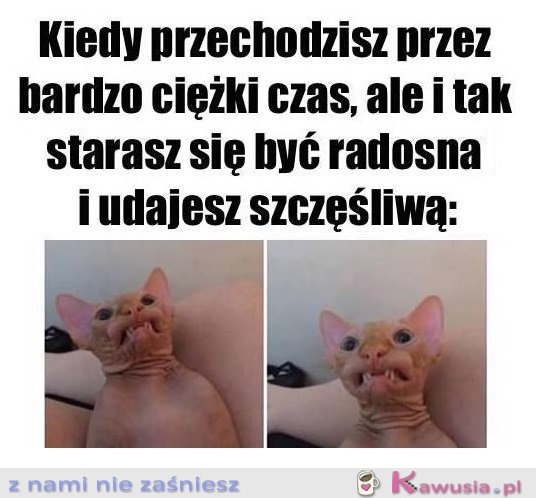 Wszystko ok...