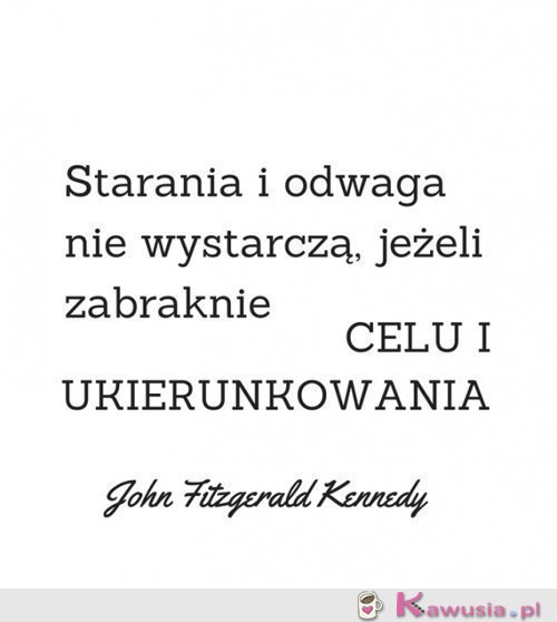 Starania i odwaga...