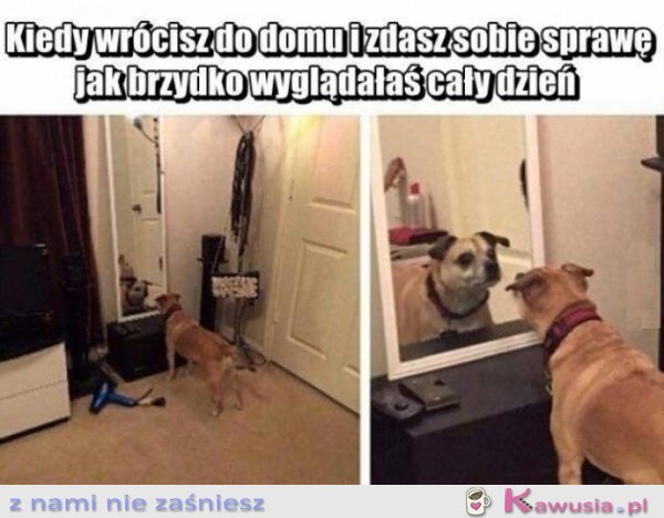 O nie