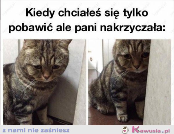 Chciałem się tylko przytulić