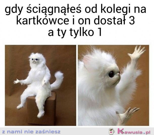 NIE OGARNIAM