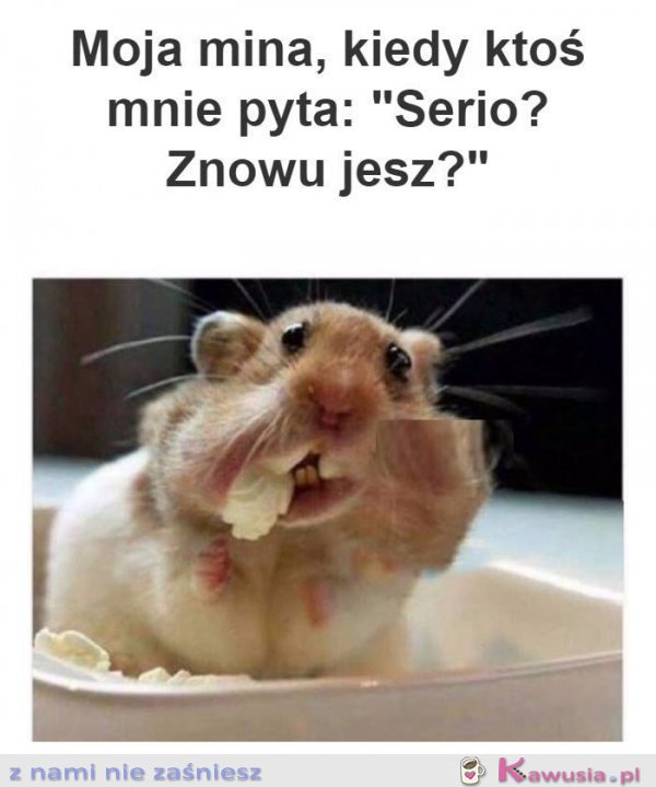 A Ty, znowu jesz