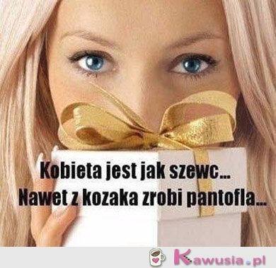 Kobieta jest jak szewc