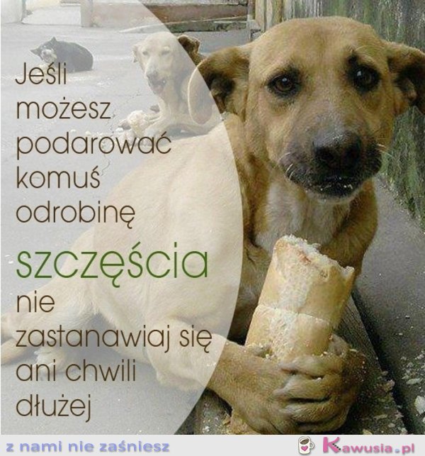 Jeśli możesz podarować komuś...