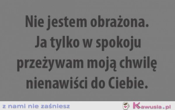 Nie jestem obrażona, ja tylko...