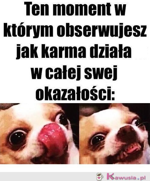 Zaczynamy zabawę...