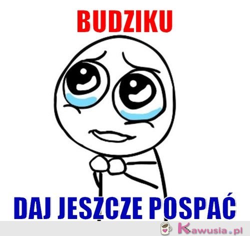 Budziku...