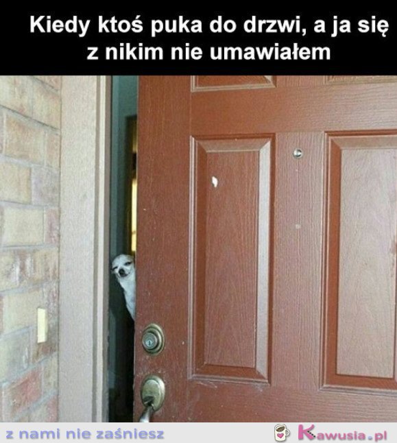 TO ZAWSZE NIKT CIEKAWY