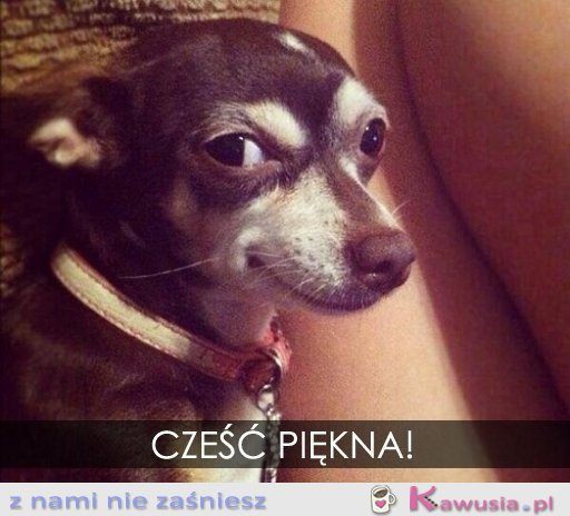 Cześć piękna