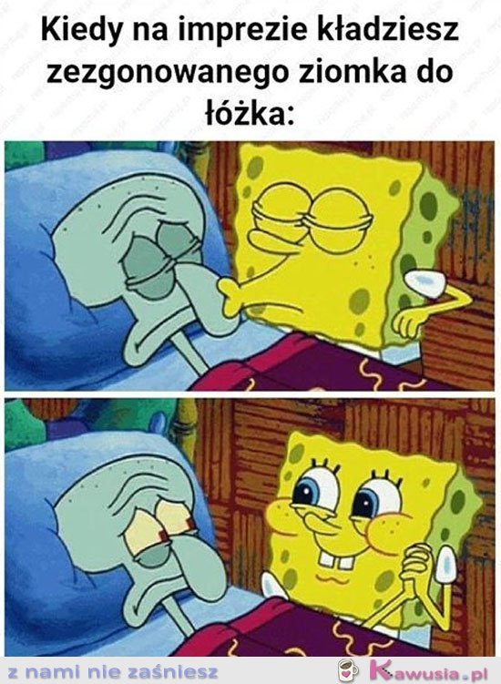 Nie ma jak najlepszy przyjaciel