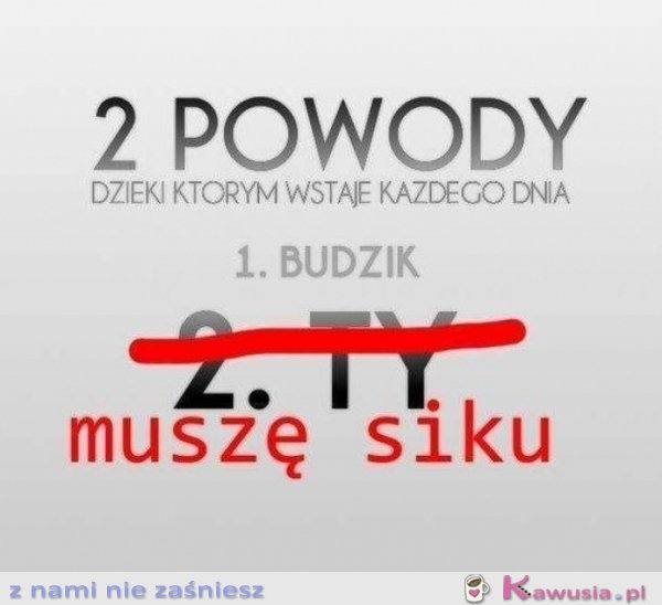 Dwa powody