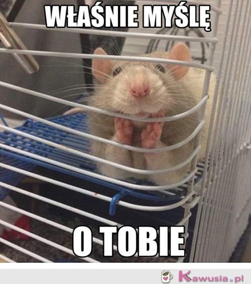 Myślę o Tobie...