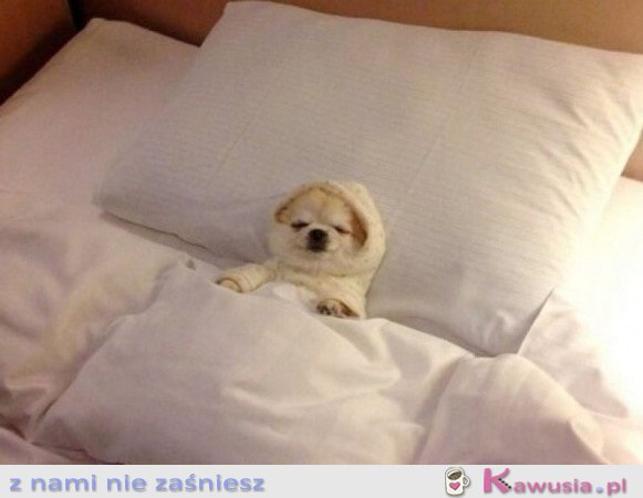 WIĘCEJ NIE TRZEBA