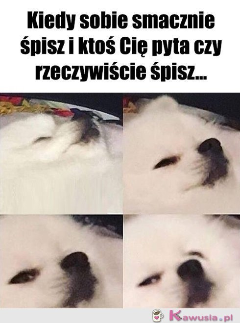 Nie wcale, udaję sobie...