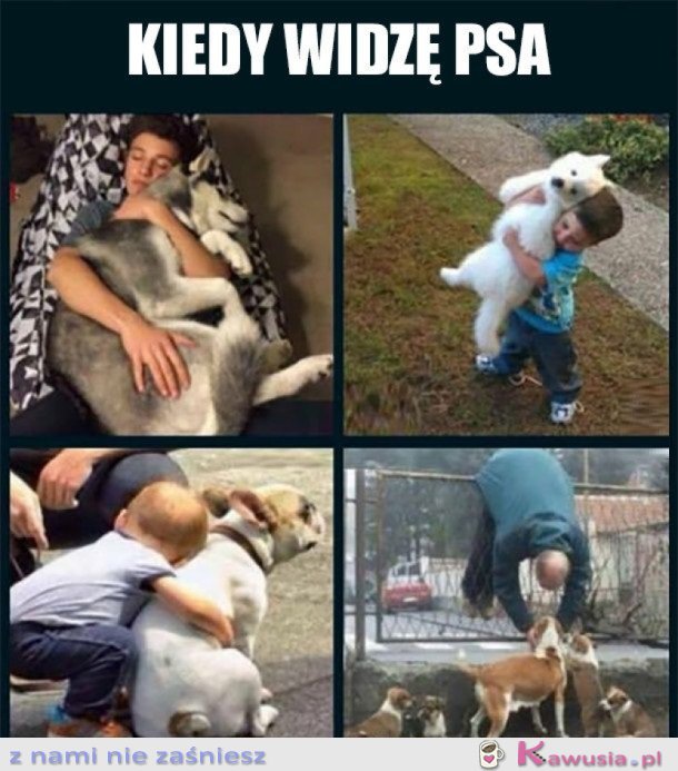 Zawsze kiedy widzę jakieś zwierzątko