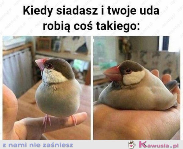 Kiedy siadasz i twoje uda