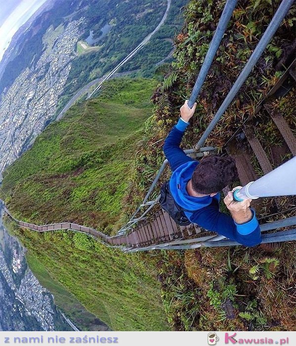 Haiku zakazany szlak na Hawajach