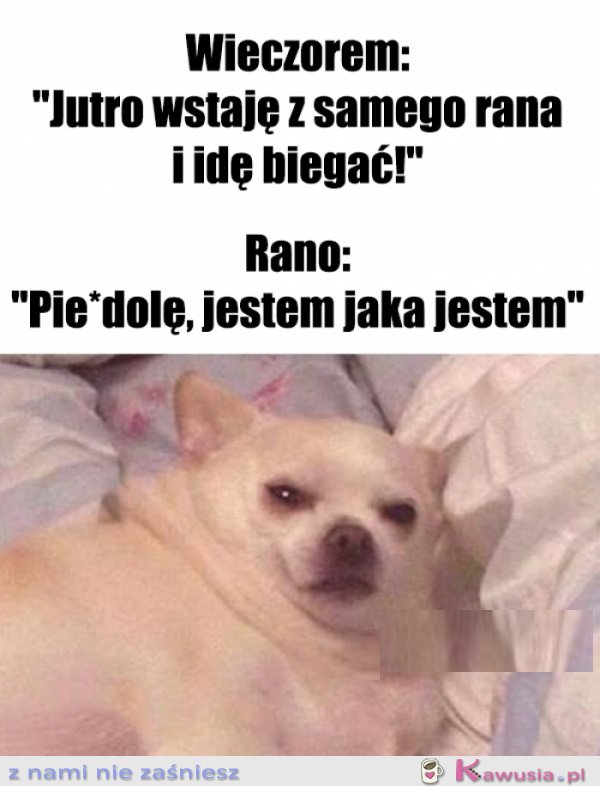 O 6 rano akceptuję siebie jak nigdy...