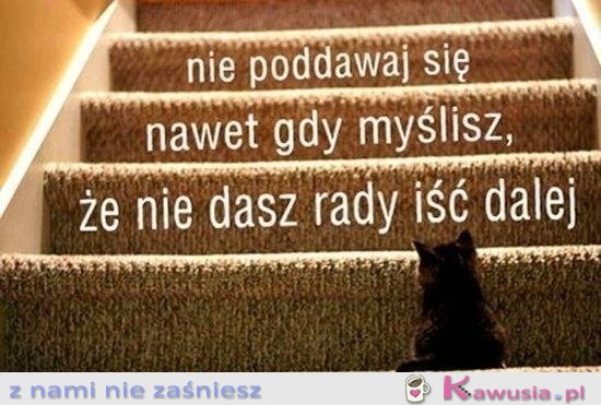Nie poddawaj się!