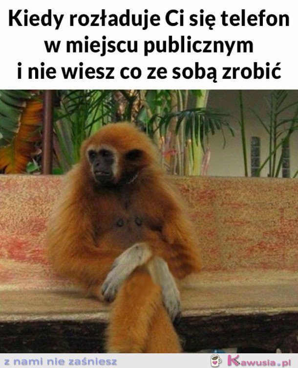 TO UCZUCIE