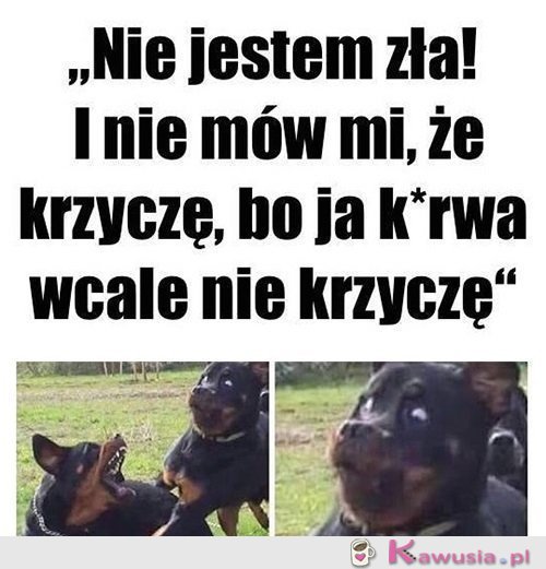 Jestem oazą spokoju