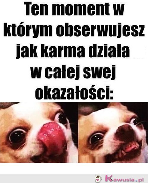 Zaczynamy zabawę...