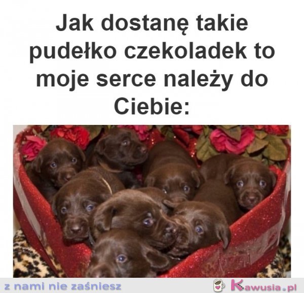 Chcę takie czekoladki