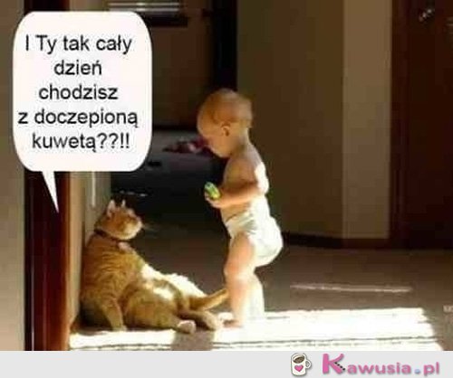 I Ty tak cały dzień chodzisz...