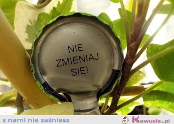 Nie zmieniaj się