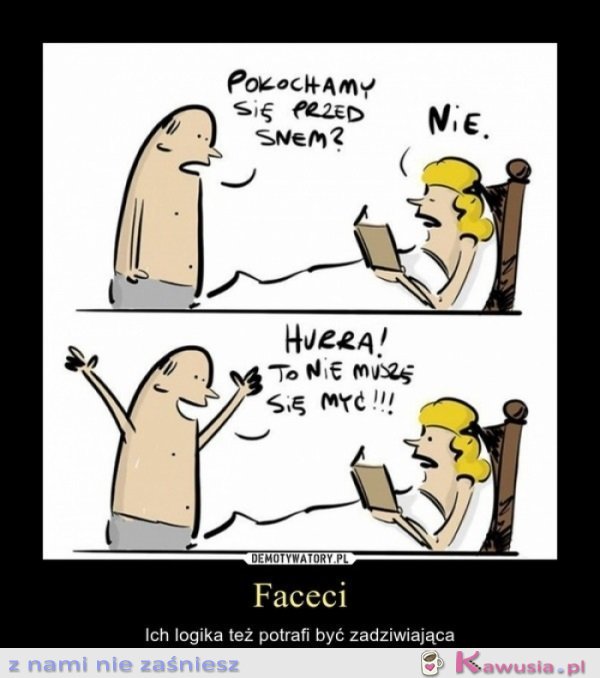 Logika facetów