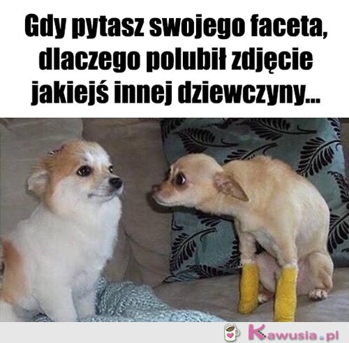 No pytam się...