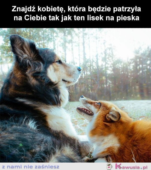 ZNAJDŹ KOGOŚ TAKIEGO