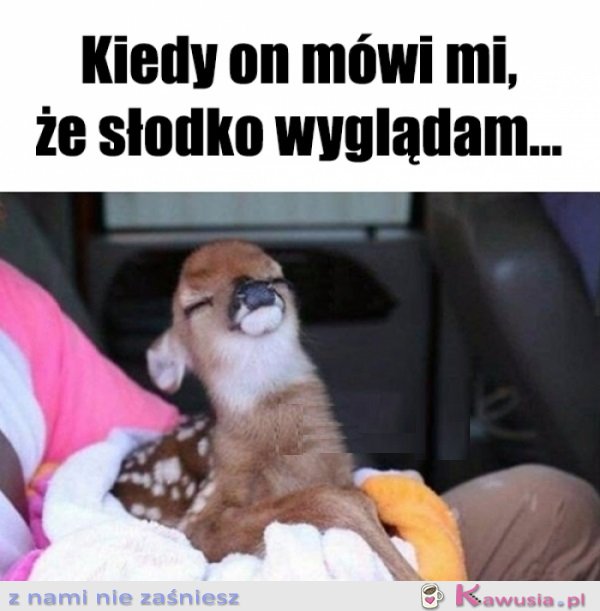 Się wie...