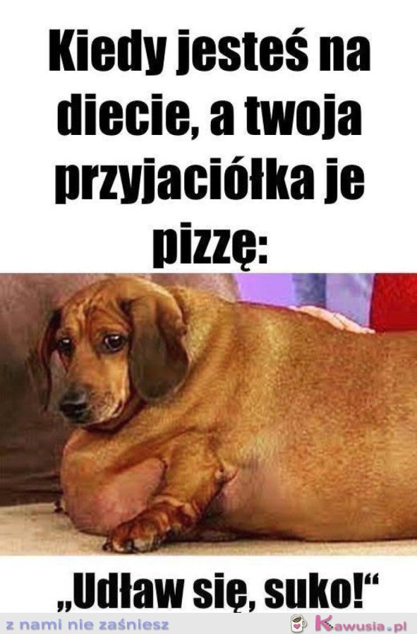 ŻYCIE NA DIECIE