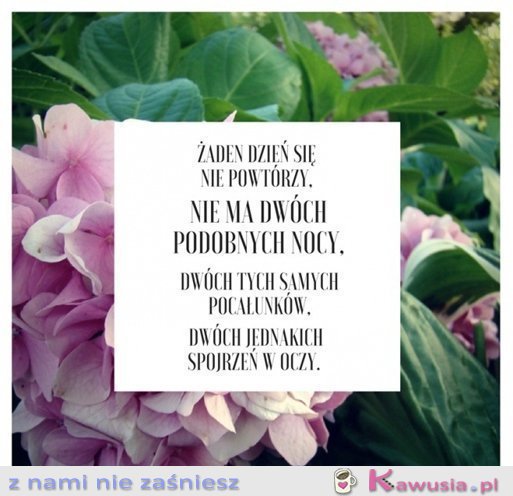Nic dwa razy...