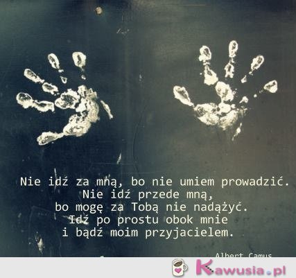 Nie idź za mną, bo nie umiem prowadzić...