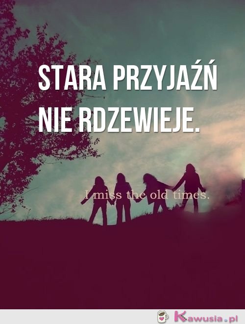 Stara przyjaźń