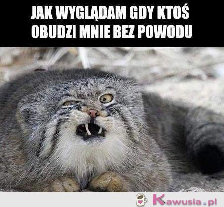 Jak wyglądam, gdy...