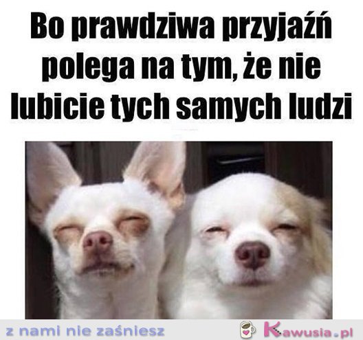 Bratnia dusza