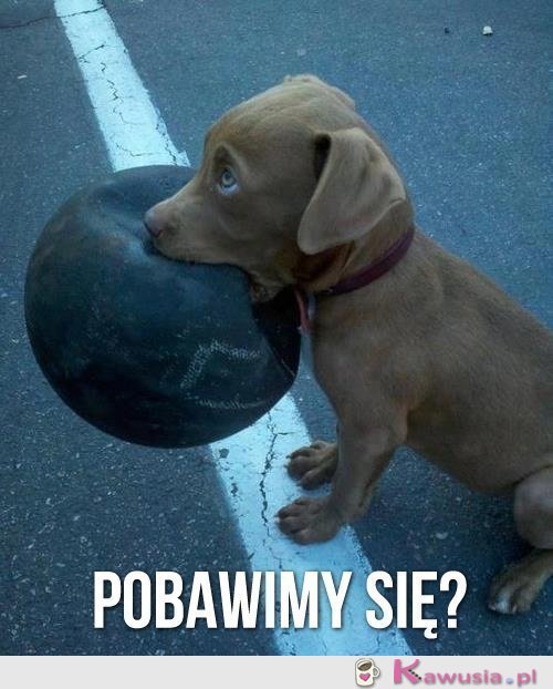 Pobawimy się