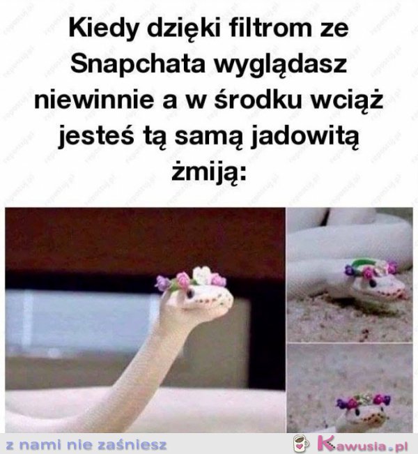 Filtry ze snapczata