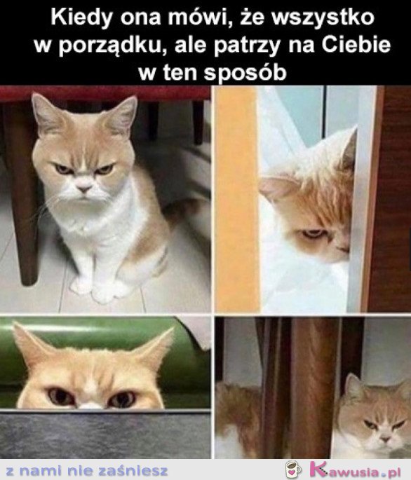KOBIETY TAKIE SĄ