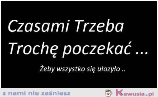 Czy warto?