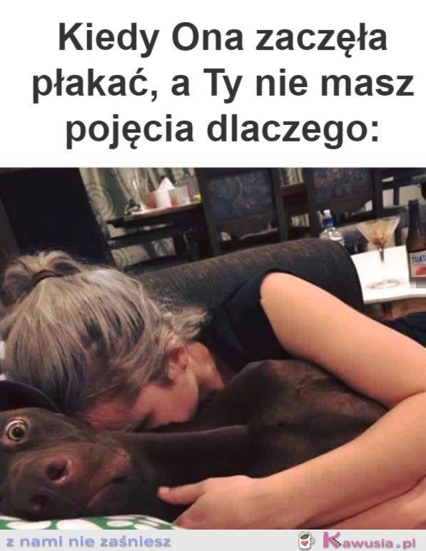 CHYBA SZURNIĘTA