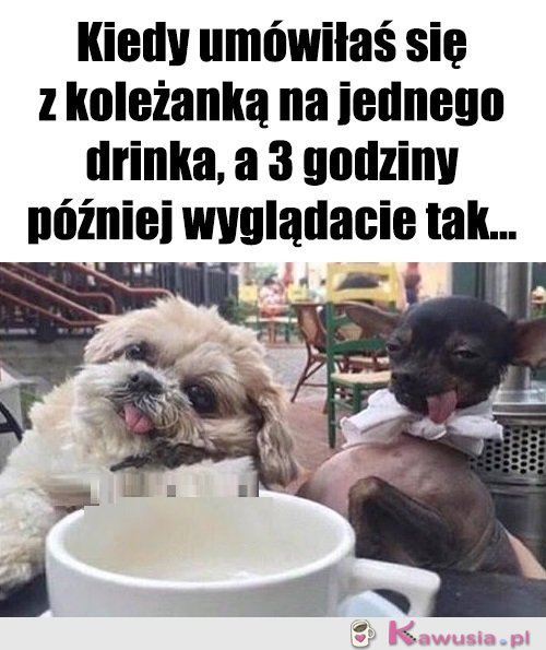Tak jakoś wyszło...