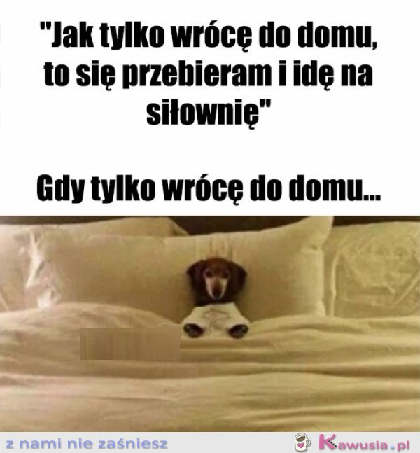 Chęci były i to się liczy...